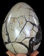 Huge, Septarian Dragon Egg Geode - Crystal Filled #63135-3